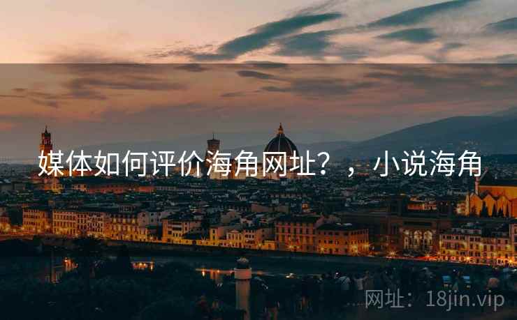 媒体如何评价海角网址？，小说海角