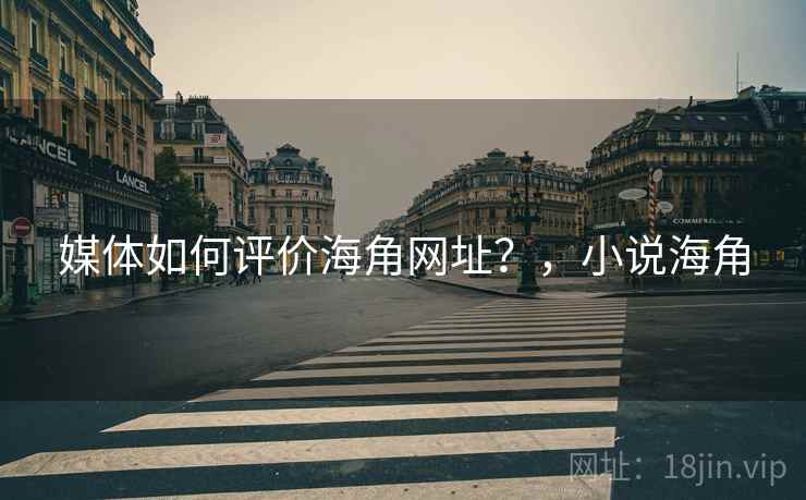 媒体如何评价海角网址？，小说海角