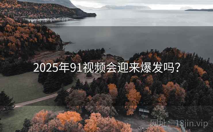 2025年91视频会迎来爆发吗？