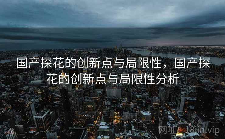 国产探花的创新点与局限性,国产探花的创新点与局限性分析 国产探花的创新点与局限性,国产探花的创新点与局限性分析