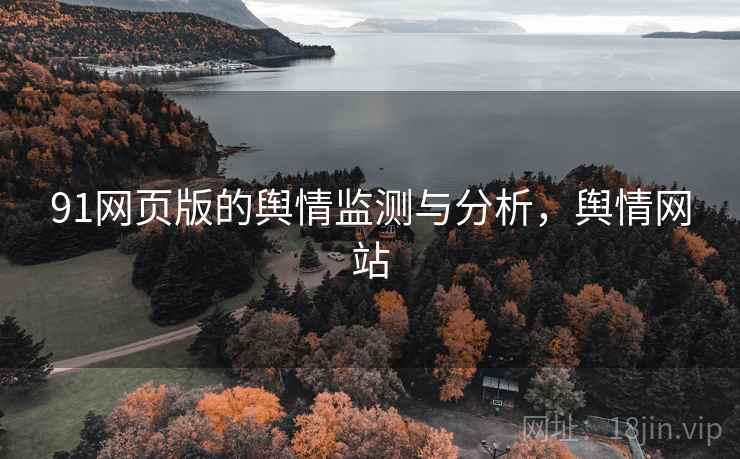 91网页版的舆情监测与分析，舆情网站