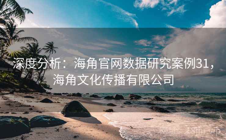 深度分析：海角官网数据研究案例31，海角文化传播有限公司
