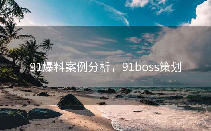 91爆料案例分析，91boss策划