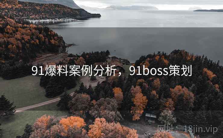 91爆料案例分析，91boss策划