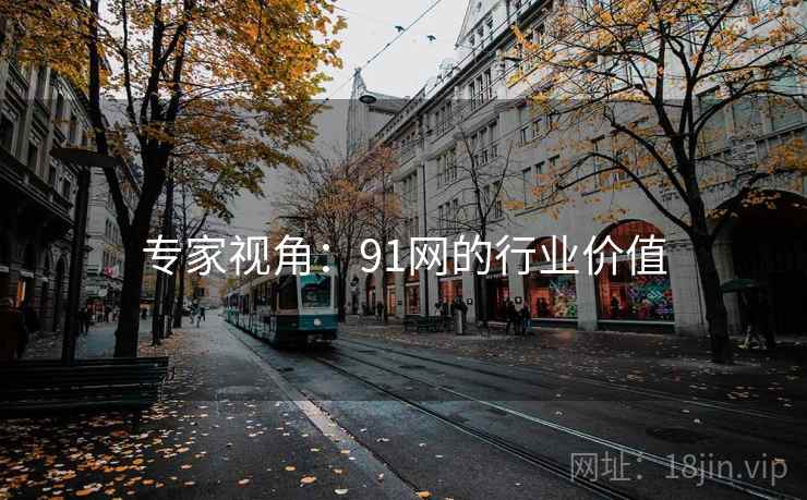 专家视角:91网的行业价值 专家视角:91网的行业价值